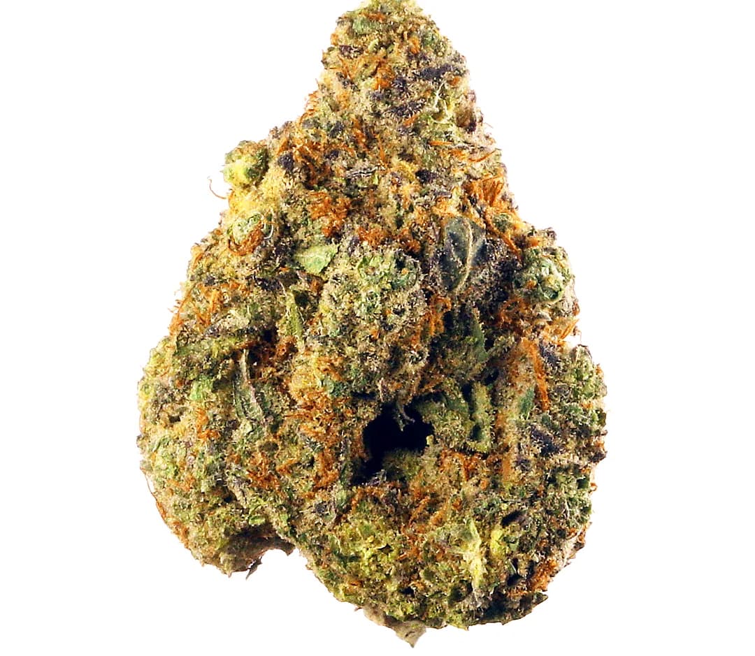 Hindu Kush