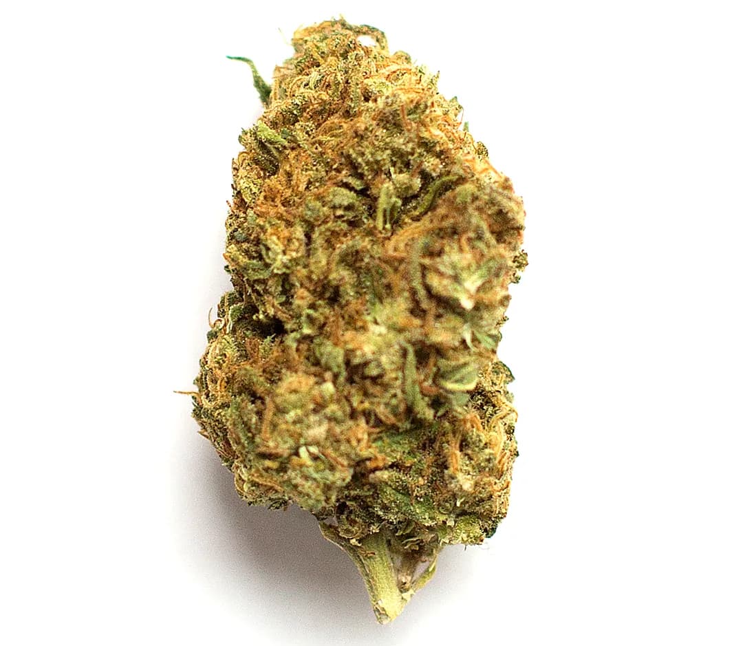 Jolly Rancher