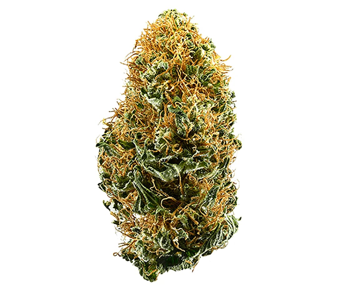 White Widow