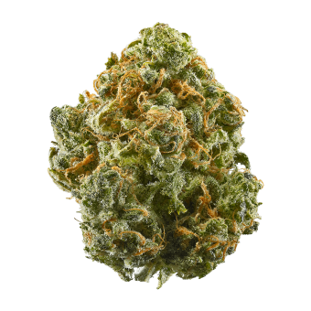 Alaskan Thunder Fuck