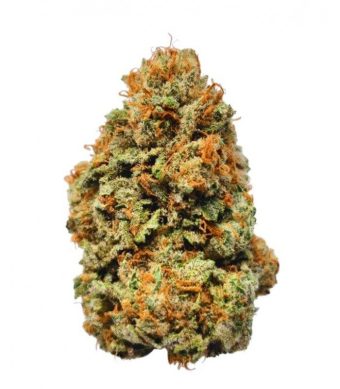 Orange Cherry Gelato
